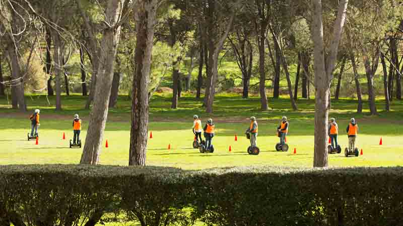 Have a ‘wheelie’ good time and discover the delights of Seppeltsfield on a fully guided Segway Tour!